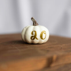 White & Gold Pumpkin Table Numbers