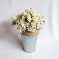Small White Floral Filler