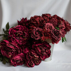 Burgundy Stems