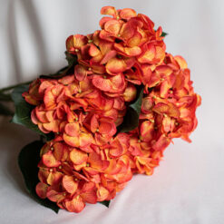 Orange Stems