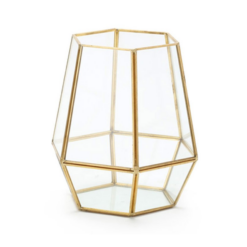 Glass Geometric Terrarium