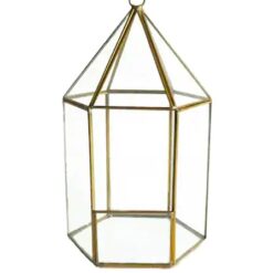 Glass Geometric Terrarium