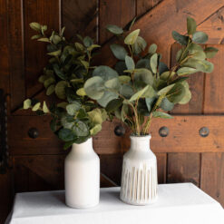 Silver Dollar Eucalyptus in Vase