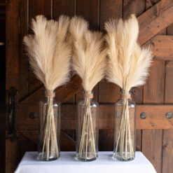 Pampas Grass in Glass Vase