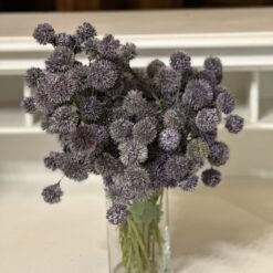 Purple Thistle Stems