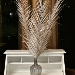 Natural Dried Palm Leaves