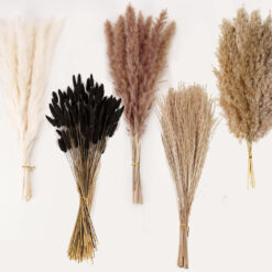 Natural Dried Pampas Grass